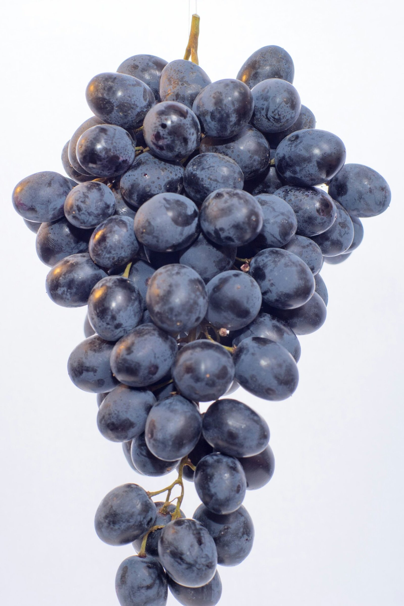 Resveratrol: A Guide to Uses and Scientific Evidence
